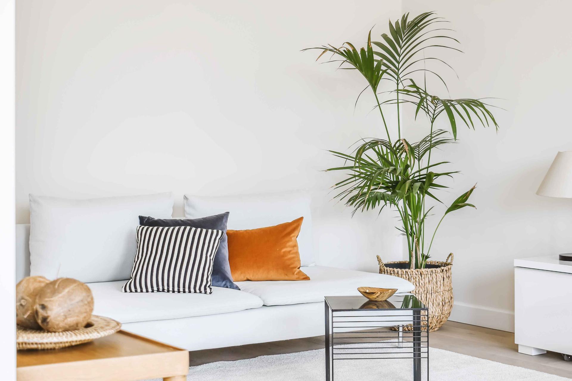 Winter Property Tips