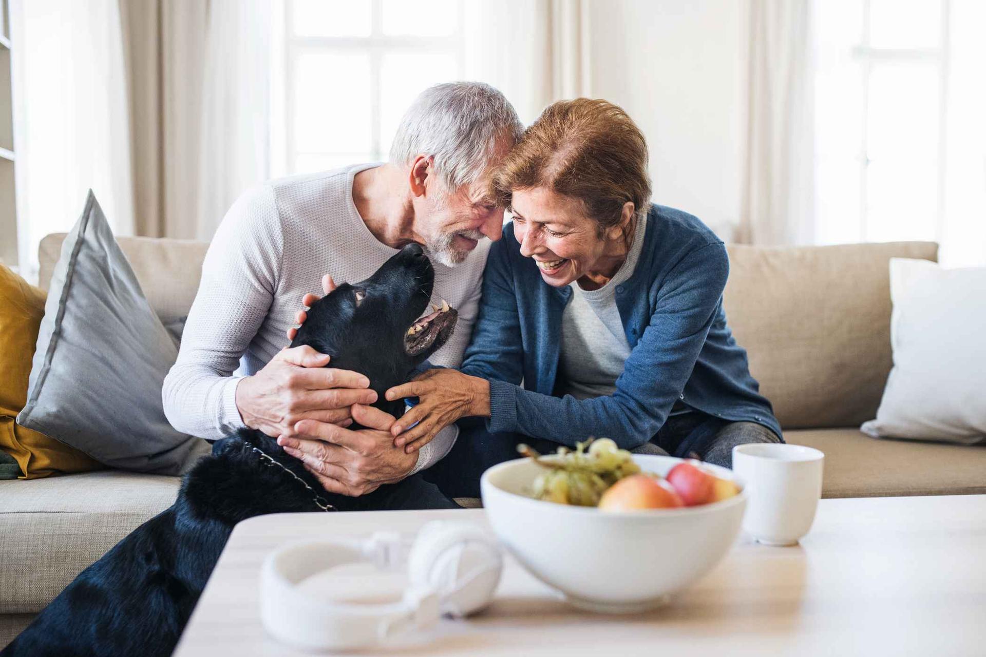 How to Prepare your Home for Sale with Pets
