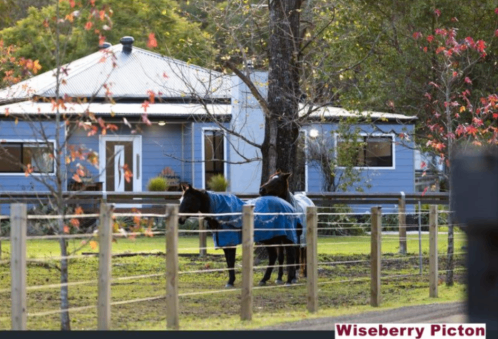 15-buxton-avenue-buxton-nsw-2571-11713