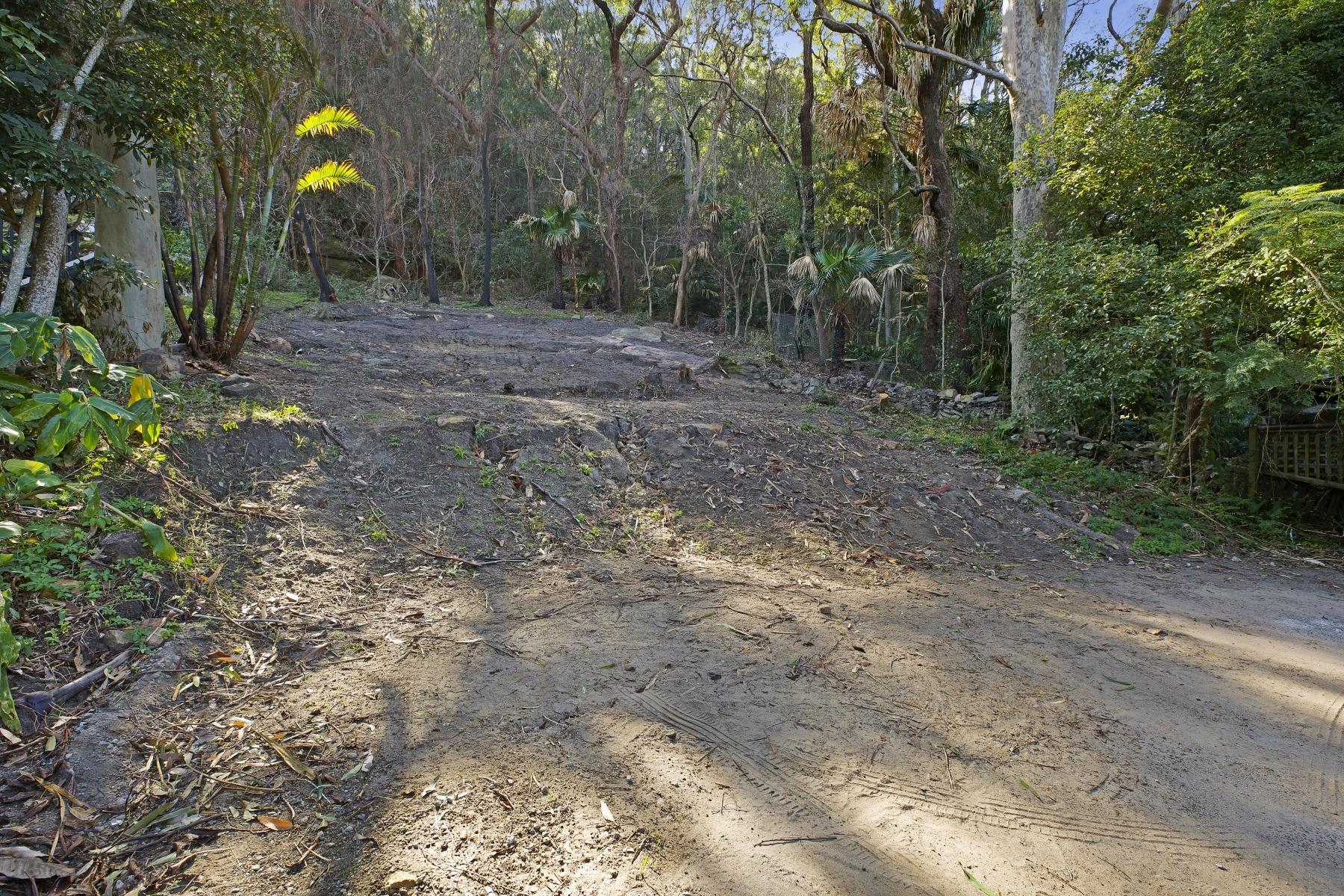 Slide Image