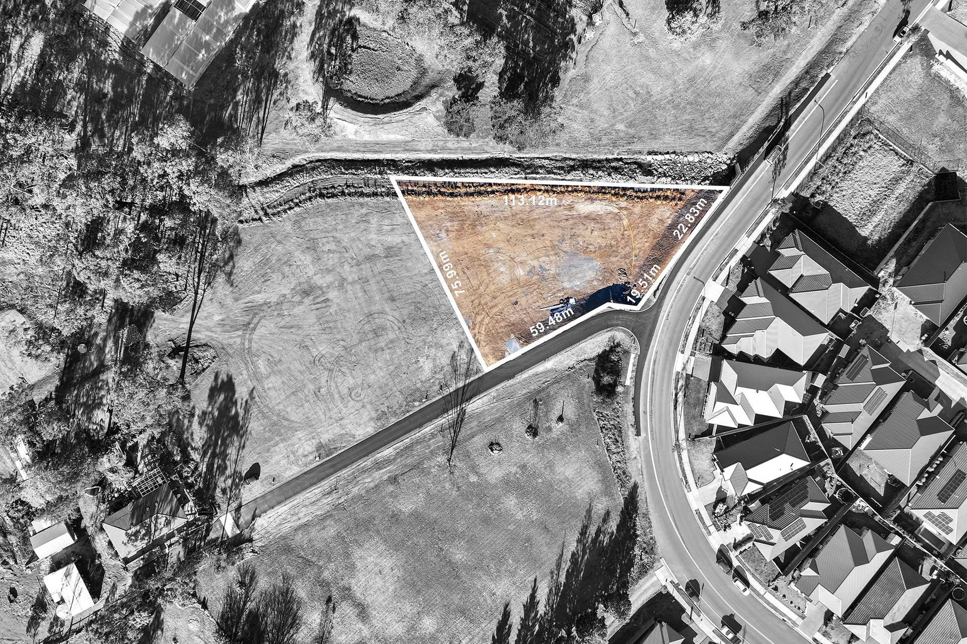 Slide Image