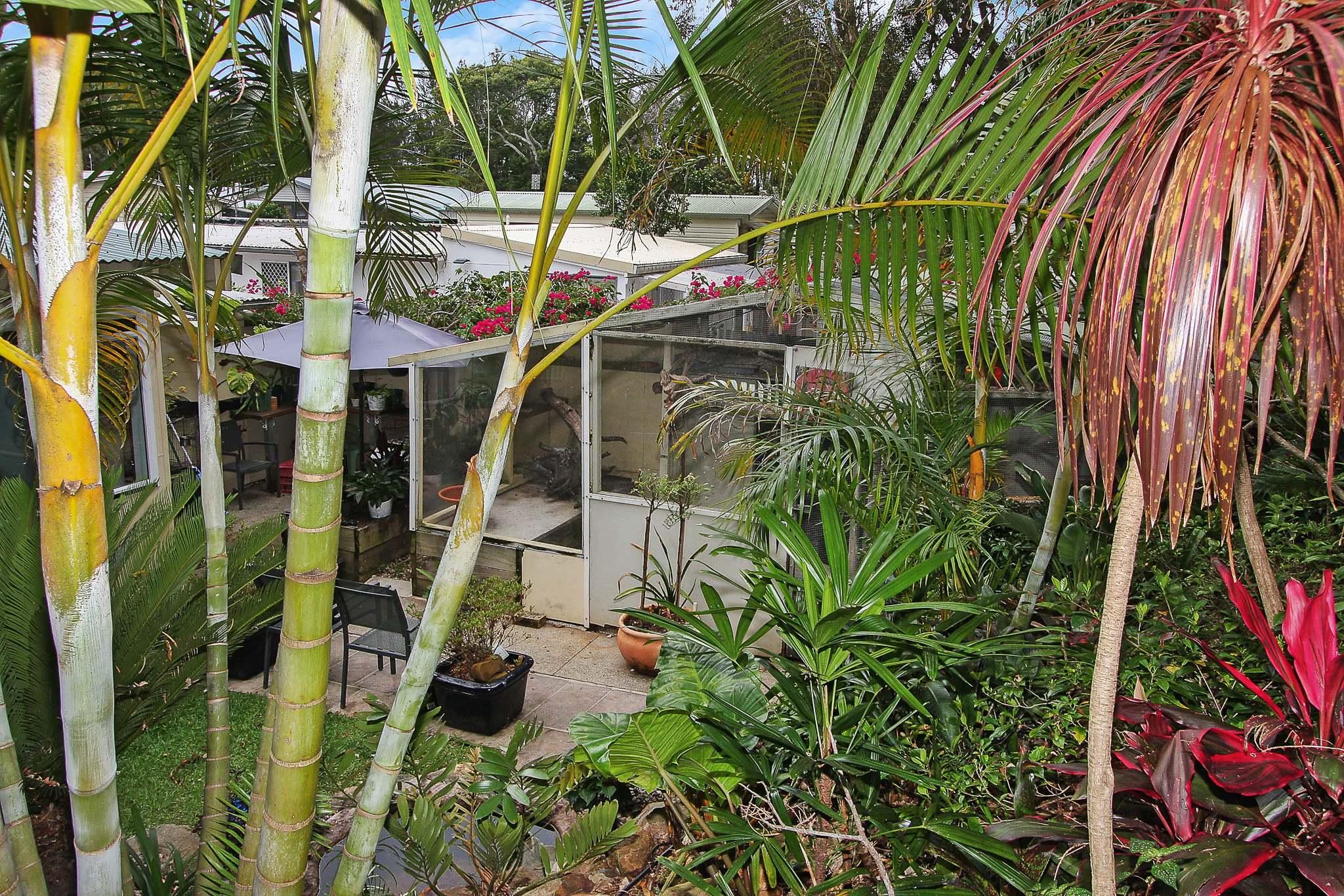 Slide Image