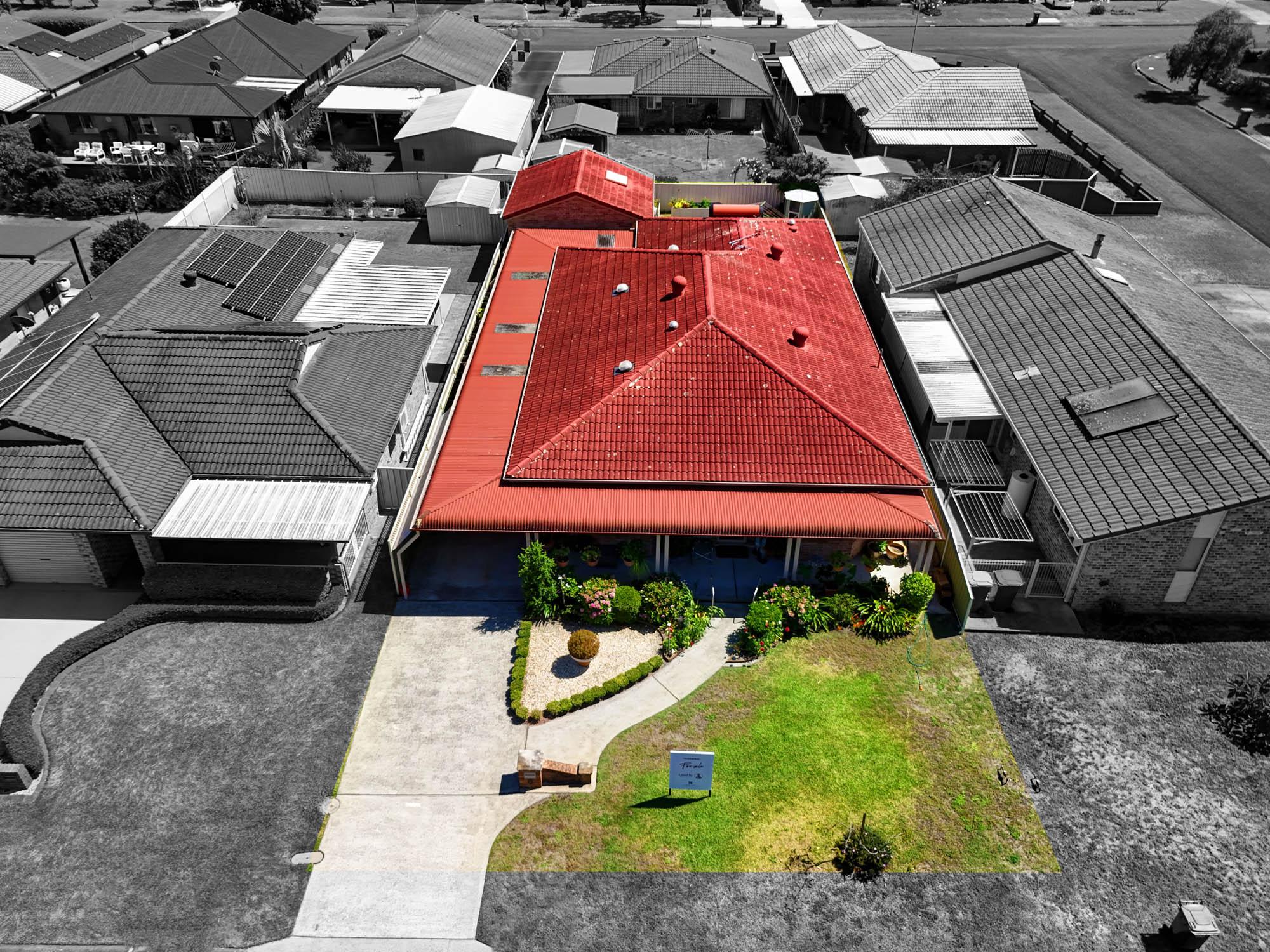 Slide Image