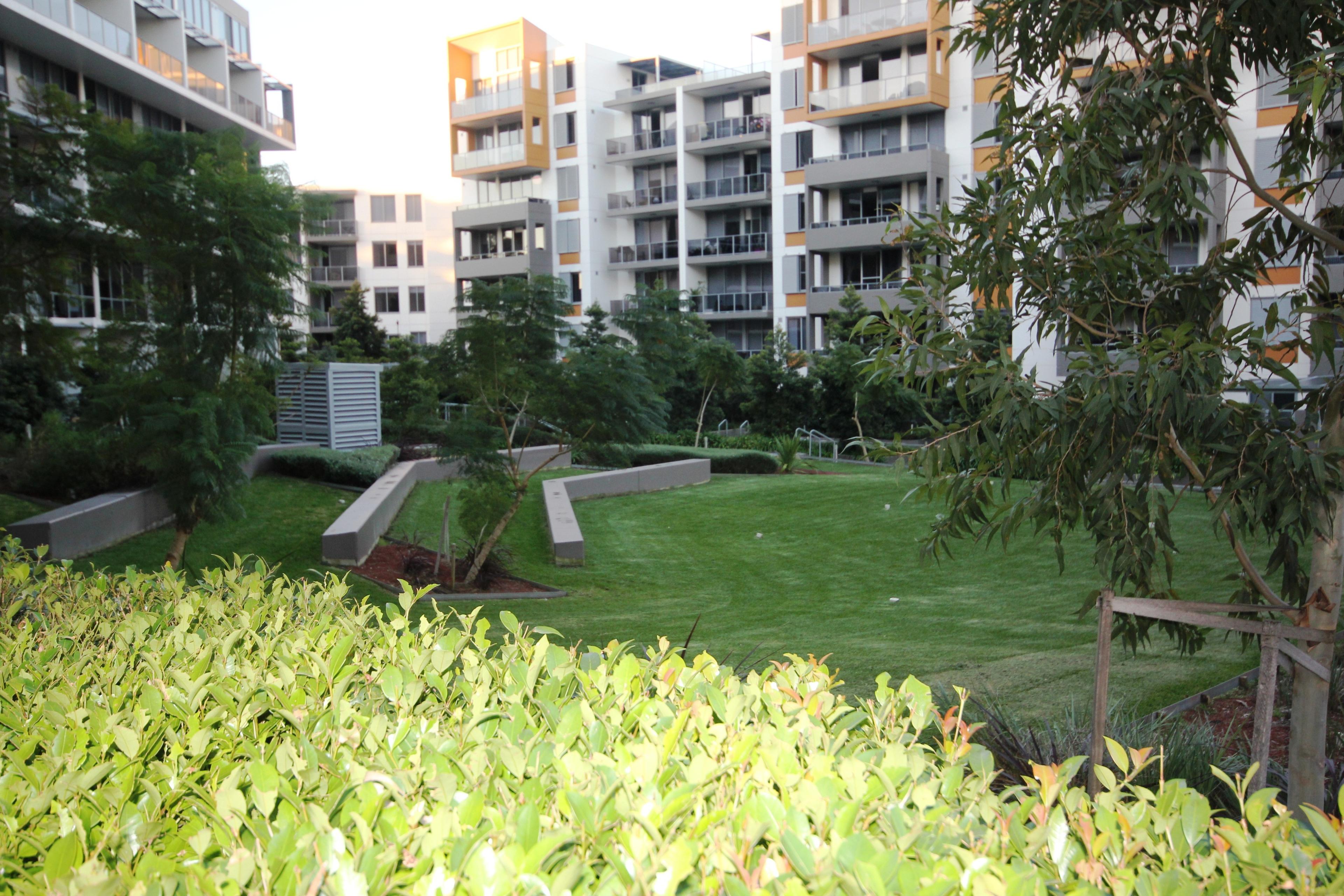 Slide Image