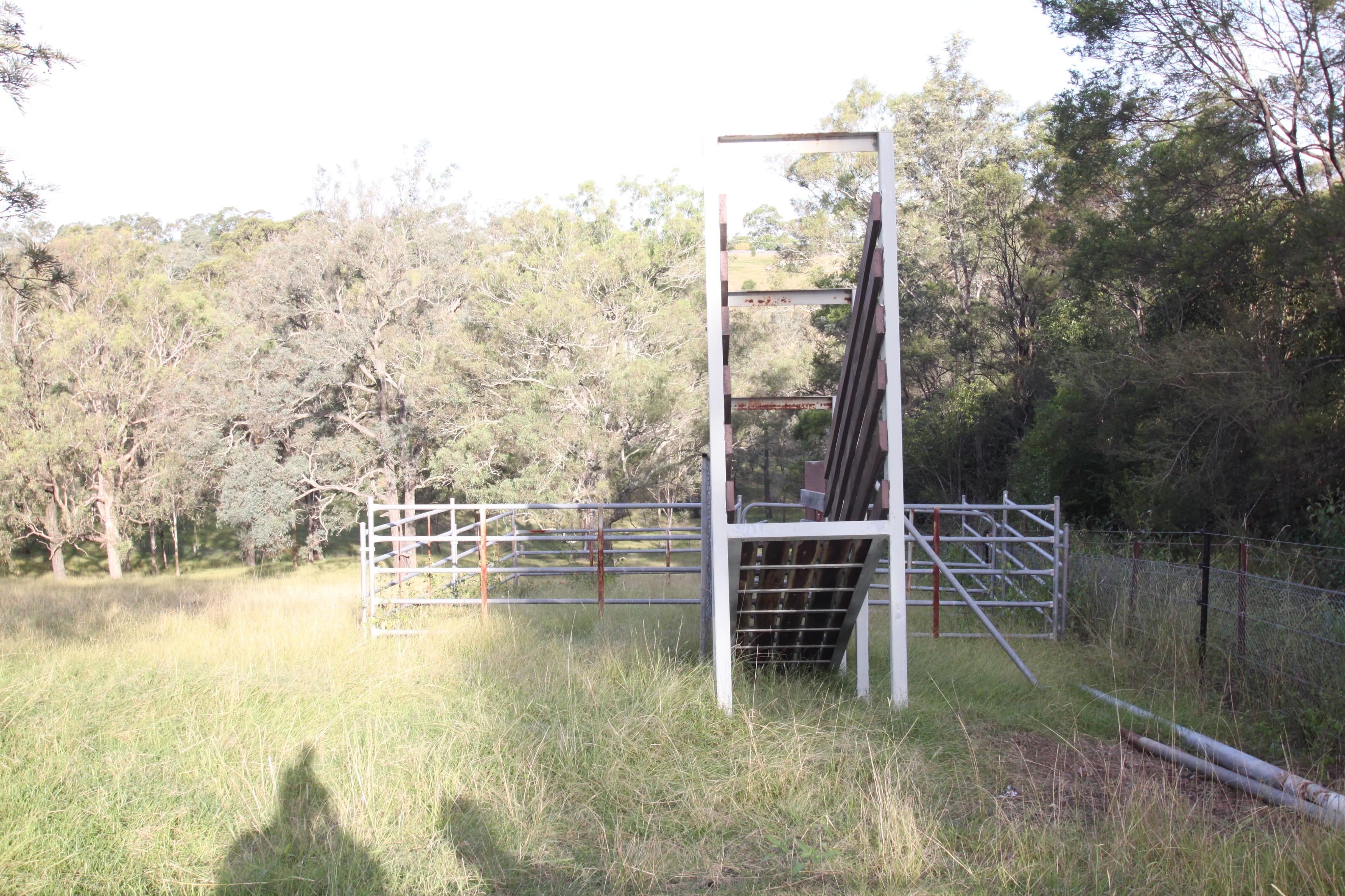 Slide Image