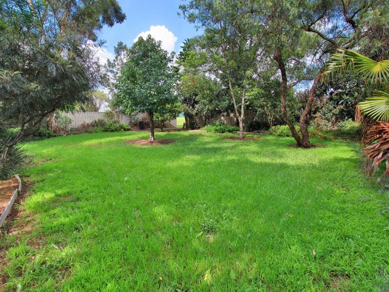 Slide Image