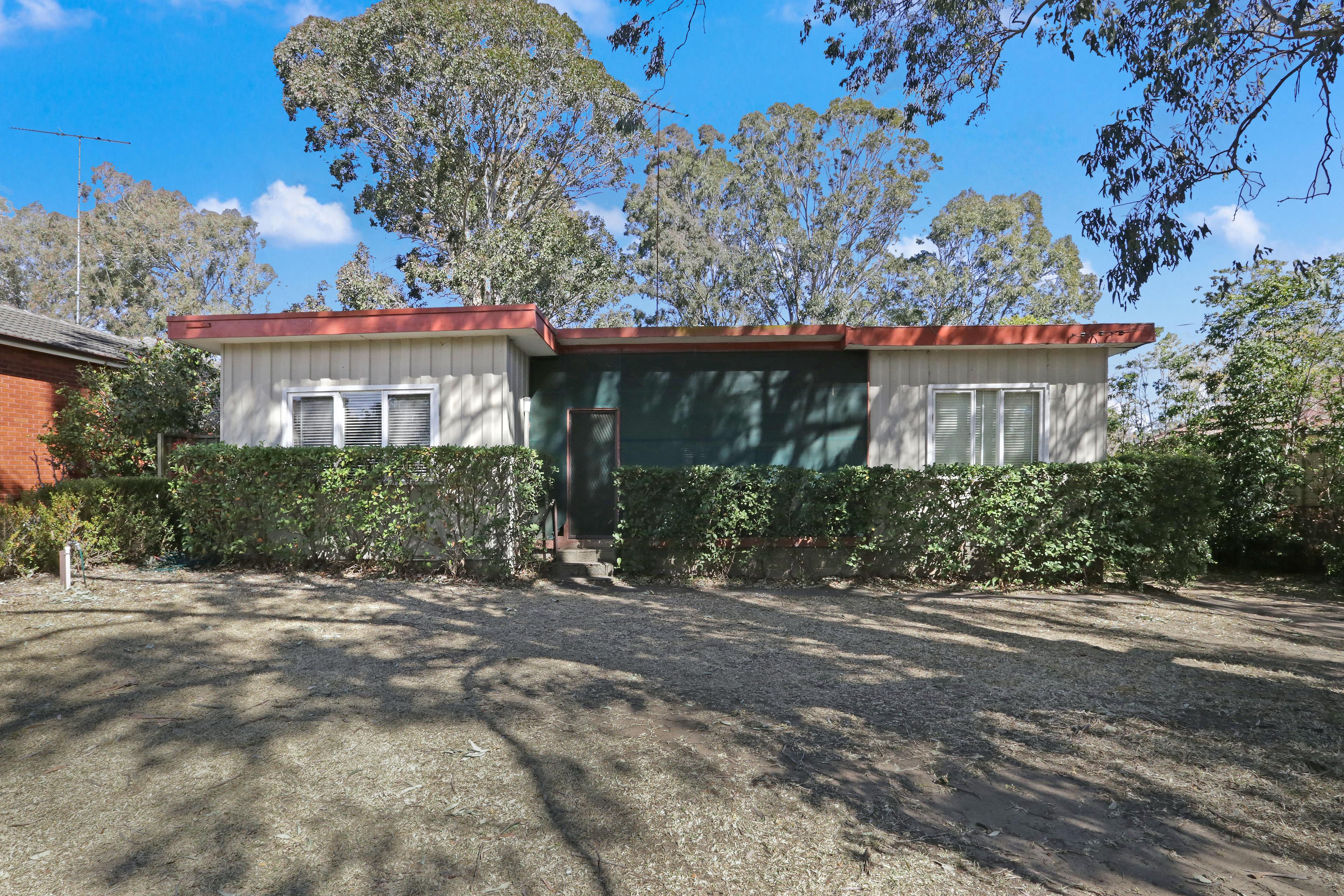 Slide Image