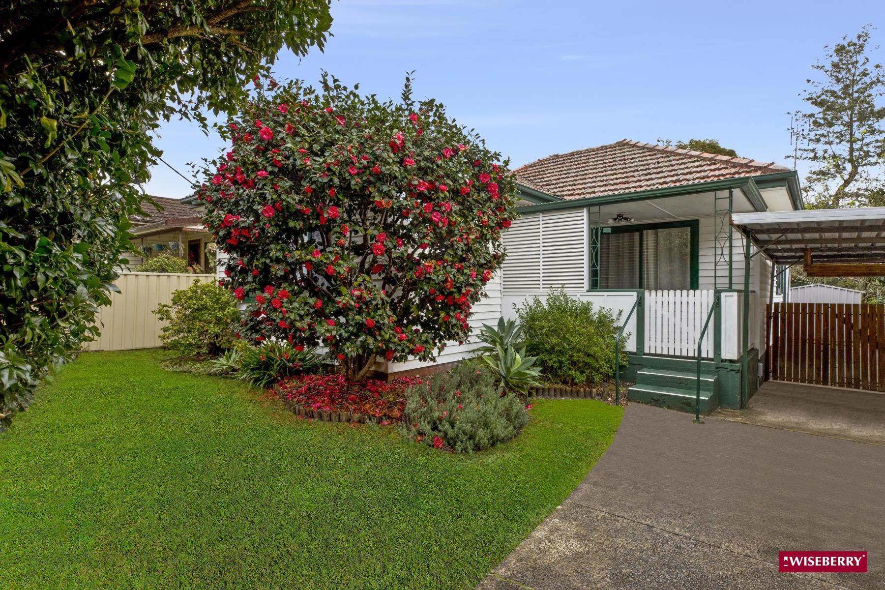 Slide Image